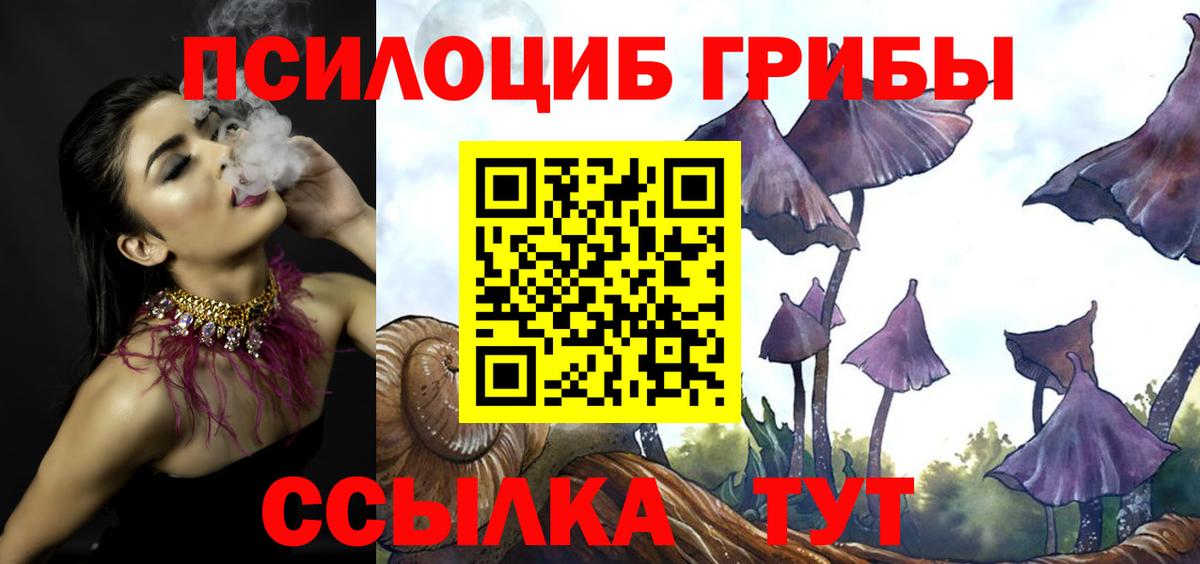 Галлюциногенные грибы Cubensis Саратов
